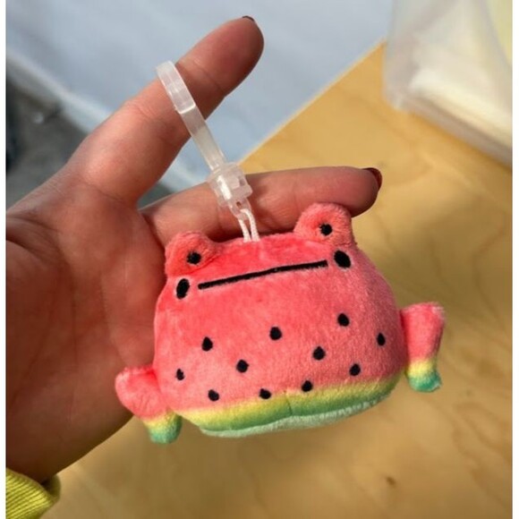 Rainylune Plush Friend The Frog Watermelon Keychain Fob Rainy Lune - Picture 1 of 3